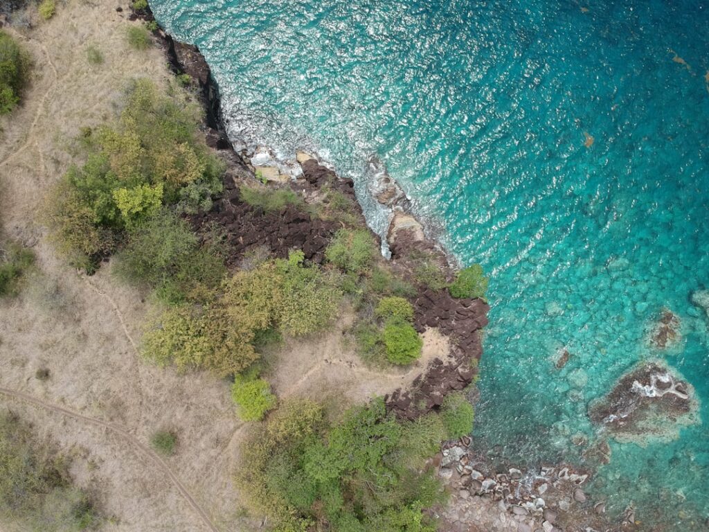 découvrez la guadeloupe, un véritable bijou des caraïbes. plages de sable blanc, lagons turquoise, biodiversité exceptionnelle et culture créole riche vous attendent. partez à l'aventure dans ce paradis tropical où nature et histoire se rencontrent.