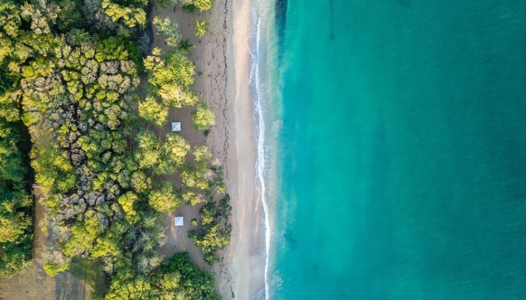 découvrez la guadeloupe, un archipel paradisiaque des caraïbes, célèbre pour ses plages de sable fin, sa culture riche et sa nature préservée. explorez des paysages époustouflants, dégustez une cuisine créole exquise et vivez des aventures inoubliables au cœur de cet incontournable havre de paix.